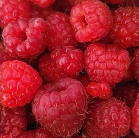 Huile parfumée à la framboise mûre - 50 g